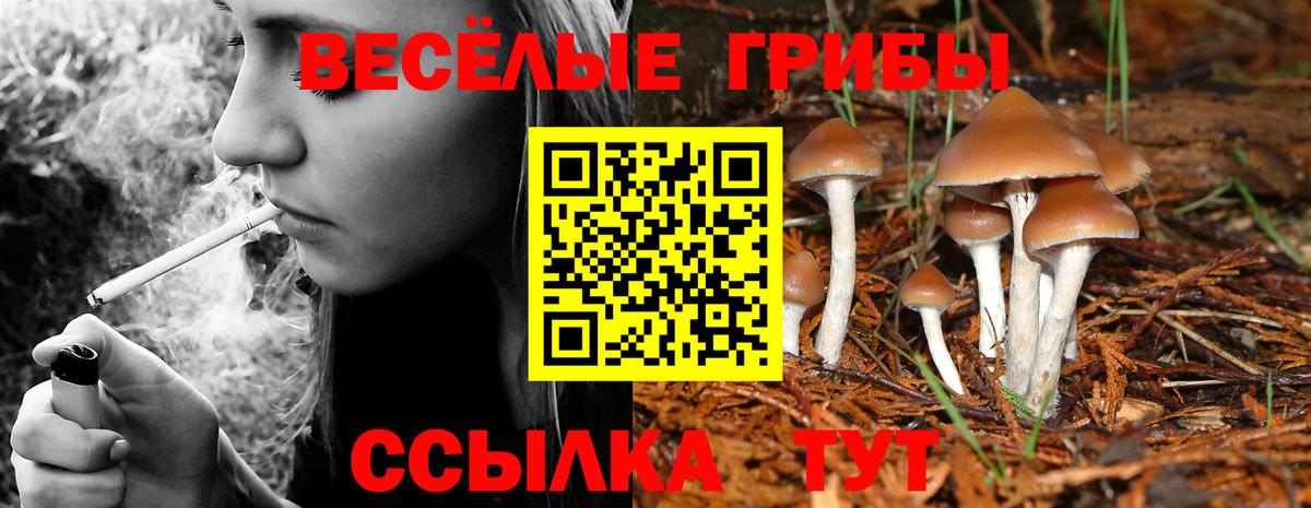 Галлюциногенные грибы MAGIC MUSHROOMS Екатеринбург